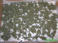 2015-09-08 15-30-45.JPG