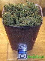 2015-09-08 15-38-11.JPG