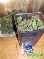 2015-09-08 15-42-09.JPG