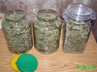 2015-09-08 16-24-05.JPG