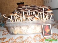 DSCN3676.JPG