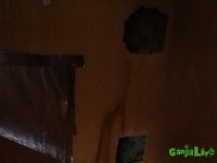 IMG_1016.JPG