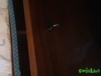 IMG_1025.JPG