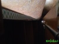 IMG_1026.JPG