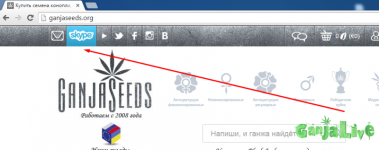скайп.png