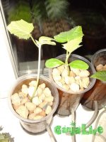 20150915_195043_новый размер.jpg