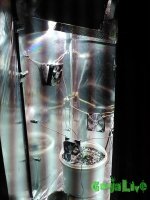 IMG003.jpg IMG003.jpg