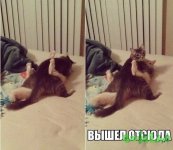 fd0jiBA3alU.jpg