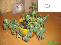 DSC09514 (1013 x 760).jpg