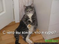 880027.jpg