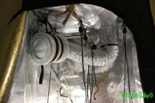 IMG_2441.JPG