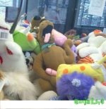 игрушка.jpg