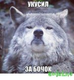 волчок.jpg