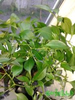 20150927_172144.jpg