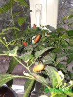 20150921_173338.jpg