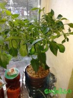 20150927_172102.jpg
