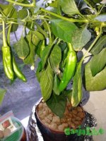 20150927_172133.jpg
