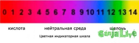 pHshkala.jpg