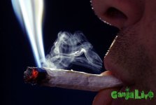 Legal Marijuana(1).jpg