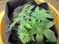 201510032154011.jpg