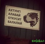 _PyLNxVoYik.jpg