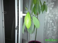 201510042033441.jpg
