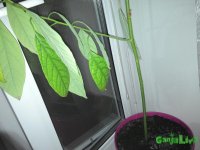 201510042034541.jpg