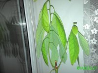 201510042035131.jpg