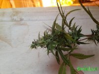 20151006_135957.jpg