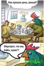x98E3IyVaYE.jpg