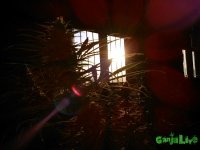 WP_000675.jpg