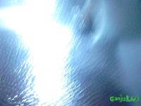 DSC_0127.jpg