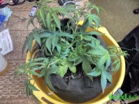 201510102147411.jpg
