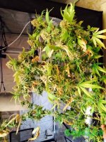 7oJ4B9UBFRg (600x800).jpg