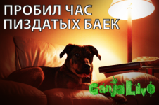 6334969.png 6334969.png