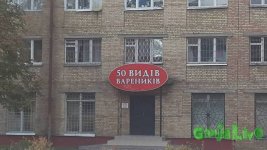6380432.jpg