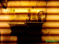 DSC_0127.jpg