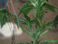 IMG_1761.JPG IMG_1761.JPG
