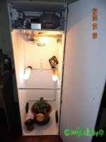 DSC00302.JPG
