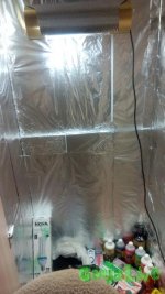 IMG_20100101_040027.jpg