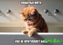 2K5Ao6Hc2qE.jpg