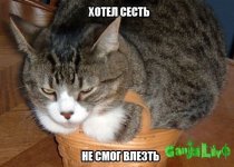 rJeyVMv2N3U.jpg