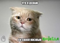 UPPpyzAzafo.jpg