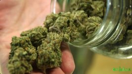121412-national-marijuana-laws.jpg