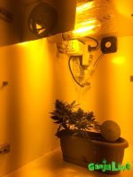 2015-10-31 14-36-50.JPG