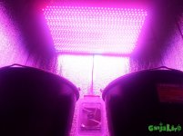 SAM_1404.JPG SAM_1404.JPG
