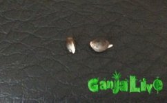 2015-11-02 12-12-04_18-12-30.JPG