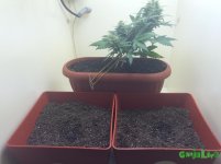 2015-11-02 12-15-24.JPG