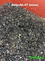 2015-11-04 18-06-40_18-11-05.JPG