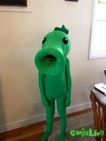 6525300.jpg